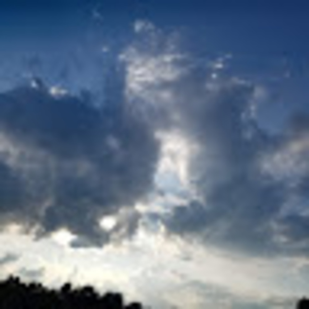 Meet your Posher, Terry